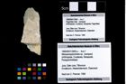 Foto (Objekt + Etikett) von Mesoparapylocheles sp.  (NHMW-GEO-1990-0041-3959a)